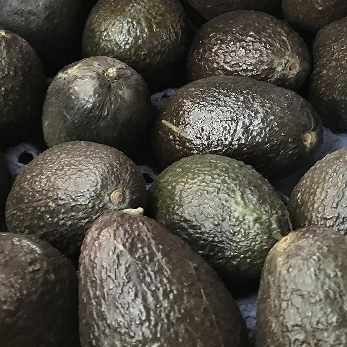 メキシコ産 アボカド 24〜30玉入り （箱） : 生鮮卸売市場 - 通販