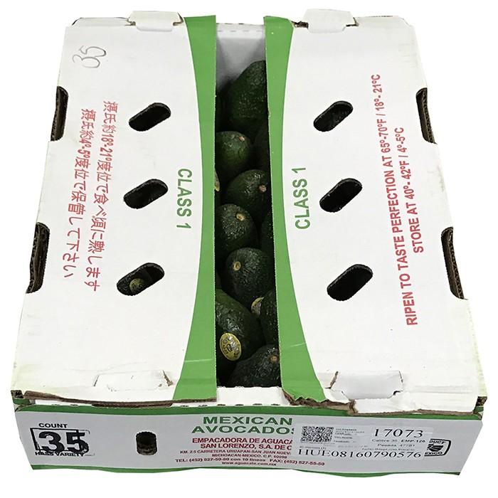 メキシコ産 低温熟成アボカド 5kg24-30玉入 メキシコ産 ”アボカド” 24〜30玉 約5kg 送料無料 : くらし快援隊