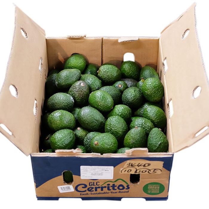 アボガド様 ENS-YR-MC02 となりのトトロ もっと！ゆらゆら おきあがりこぼし