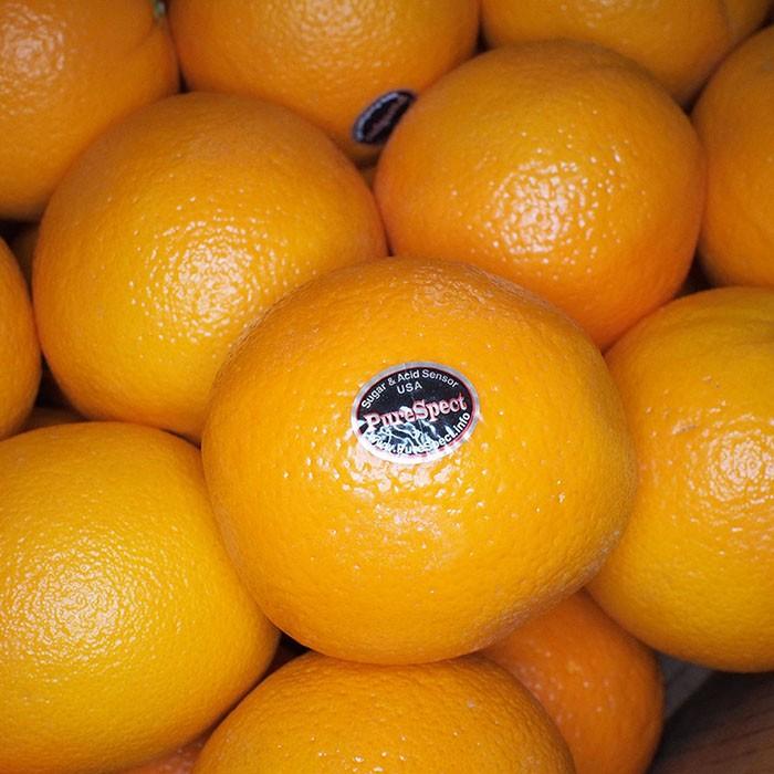 送料無料 ピュアスペクト ネーブルオレンジ 「BLACK」 88玉入り :11610325-2:生鮮卸売市場 - 通販 - Yahoo!ショッピング