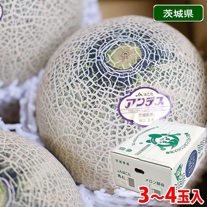 茨城県産 アンデスメロン 秀品 3L〜4Lサイズ 3〜4玉入り （箱） 国産