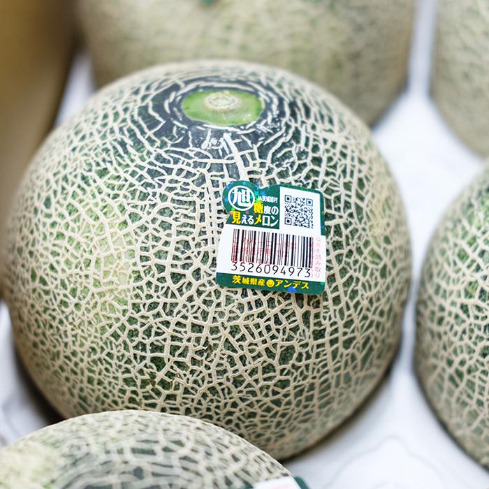 茨城県産 アンデスメロン 秀品 LA〜2Lサイズ 5〜6玉入り （箱