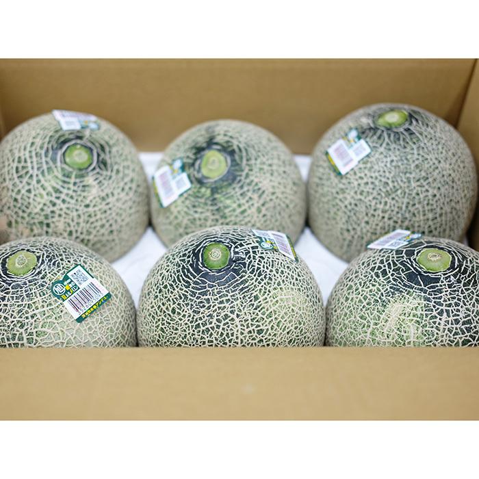 茨城県産 アンデスメロン 秀品 LA〜2Lサイズ 5〜6玉入り （箱