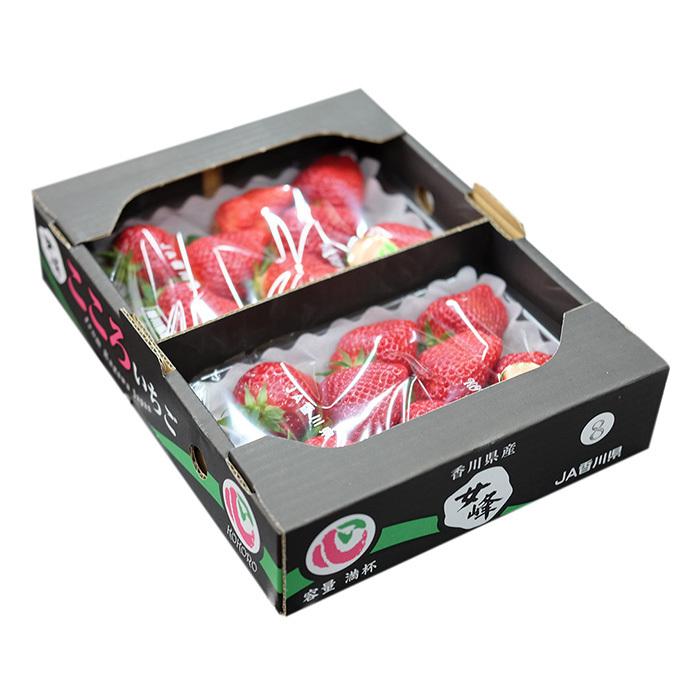 香川県産 いちご 女峰 2パック入 1パック約270g 2 生鮮卸売市場 通販 Yahoo ショッピング