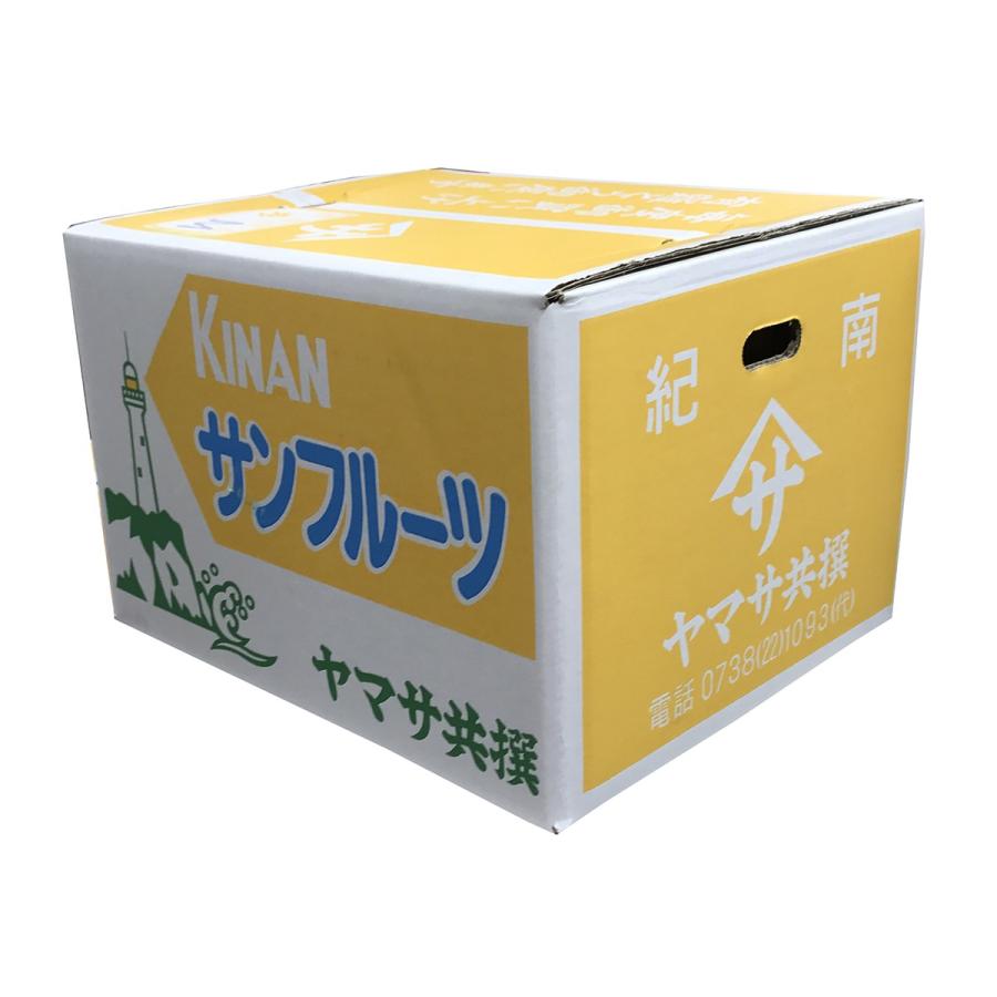 和歌山県産 紀南 サンフルーツ Mサイズ 10kg （箱） : 生鮮卸売市場