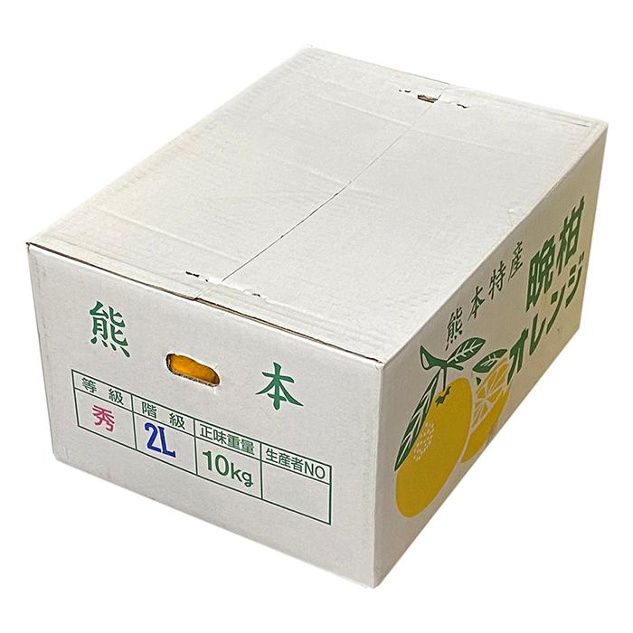 熊本県産 晩柑オレンジ （ジューシーオレンジ） 秀品 2L〜3Lサイズ