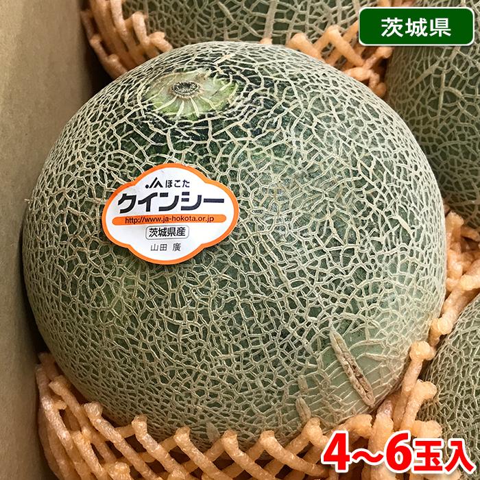 茨城県産 赤肉メロン 秀品 L〜3Lサイズ 4〜6玉入り （箱） : 生鮮卸売