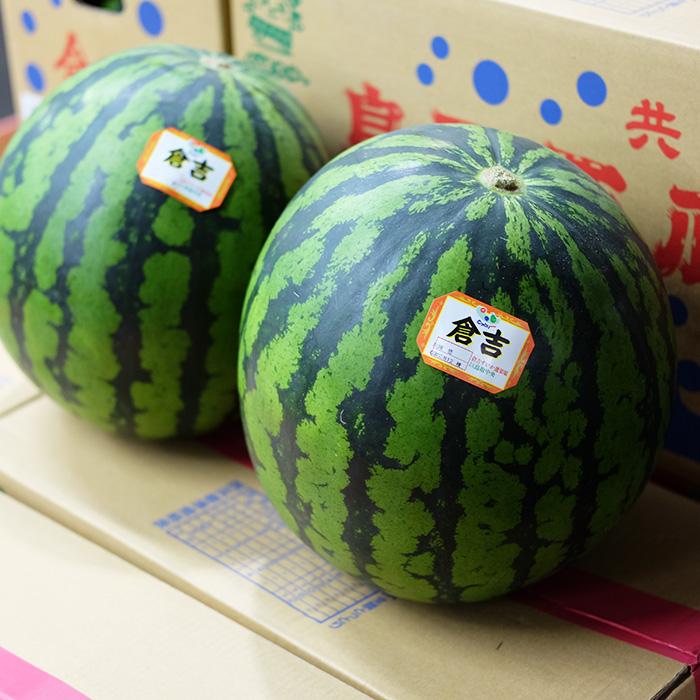 鳥取県産　倉吉すいか　鳥取西瓜　秀品　Mサイズ　2玉入り 箱（約5kg×2玉）｜promart-jp｜11