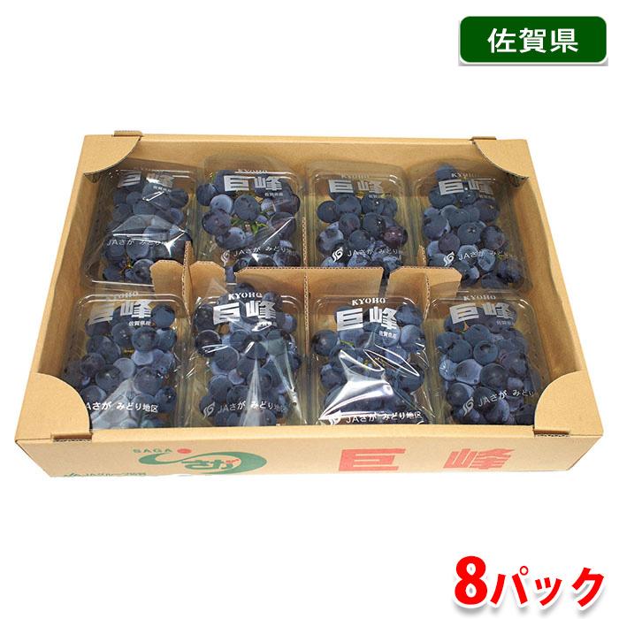 佐賀県産 ぶどう 巨峰 （種なし） 8パック詰め （箱） : 生鮮卸売市場
