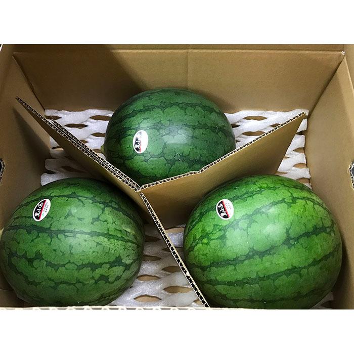 長崎県産 小玉すいか （こだま西瓜） 秀品 3Lサイズ 3玉入り （箱