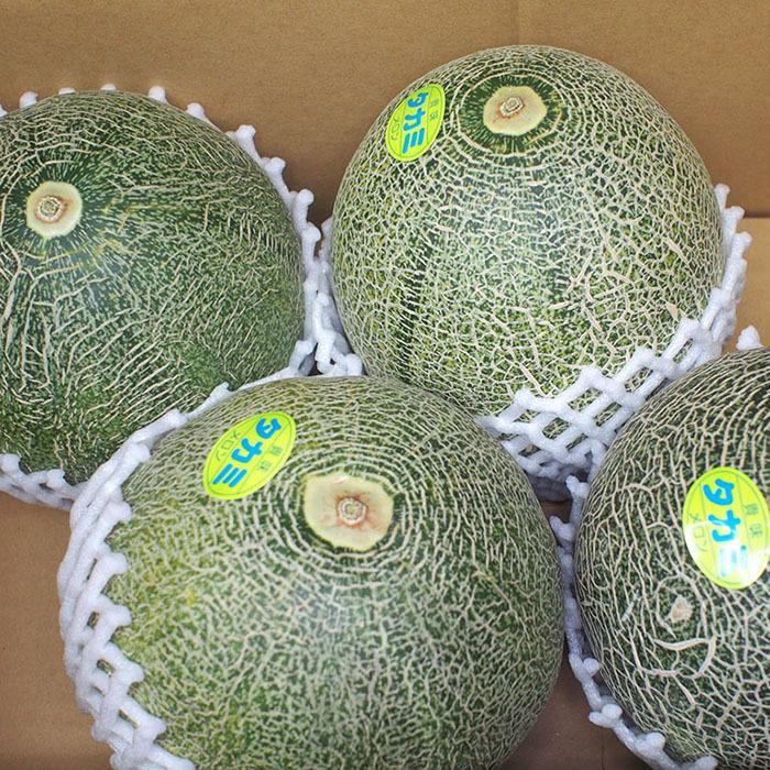 茨城県産 タカミメロン （貴美メロン） 秀品 3L〜4Lサイズ 3〜4玉入り