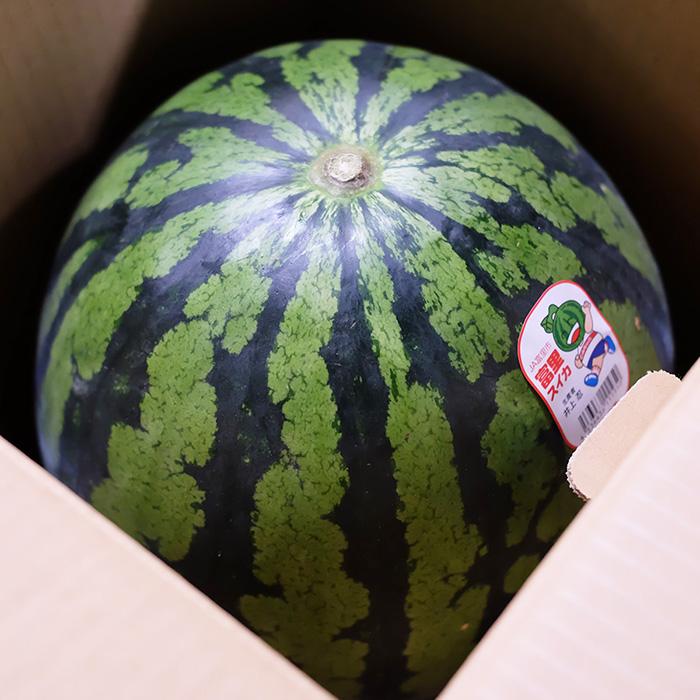 千葉県産 富里すいか A等級 3Lサイズ 2玉入り (約8〜9kg×2玉 千葉県産 富里すいか A等級 3Lサイズ 2玉入り (約8〜9kg×2玉