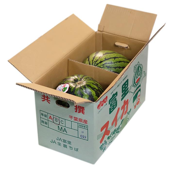 千葉県産 富里すいか B等級 MAサイズ 2玉入り （約5〜6kg×2玉） 箱