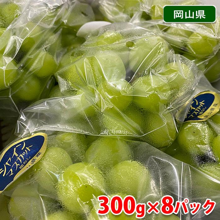 シャインマスカット　8パック入り 岡山県産 シャインマスカット 秀品 300g×8パック詰め : 生鮮卸売市場