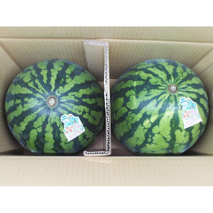 尾花沢スイカ 5L×2 規格外品 先行予約 尾花沢すいか 5Lサイズ 約10㎏×2玉 7月下旬～8月10日頃発送