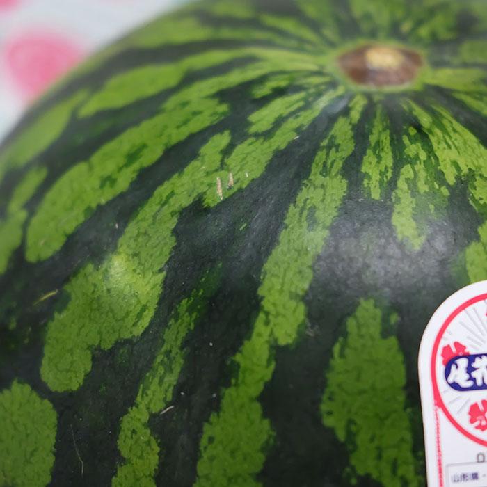 山形県産 尾花沢すいか B等級 6Lサイズ 1玉入（箱） ギフト スイカ