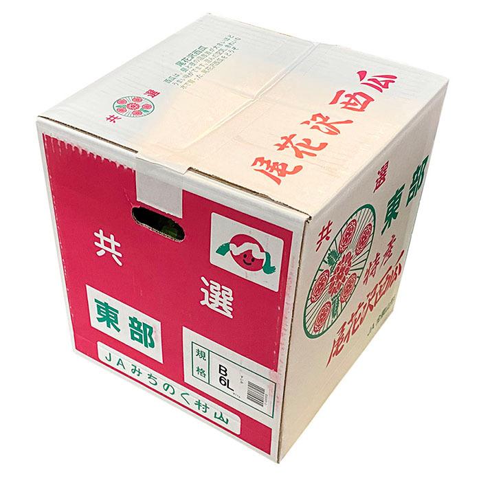 555山形県産尾花沢スイカB品Lサイズ1箱2玉入り 山形県産 尾花沢すいか B等級 6Lサイズ 1玉入（箱） ギフト スイカ