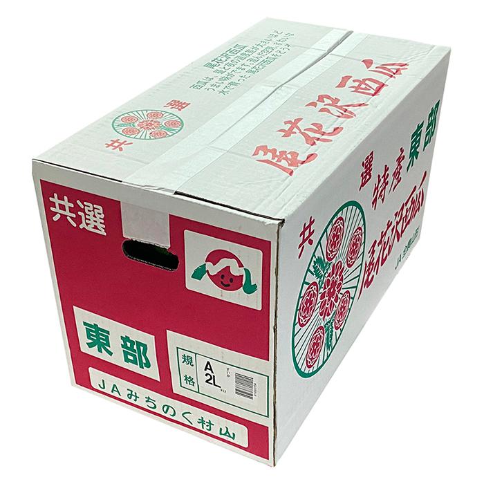 山形県産 尾花沢すいか BまたはC等級 L〜2Lサイズ 2玉入 （箱） ギフト