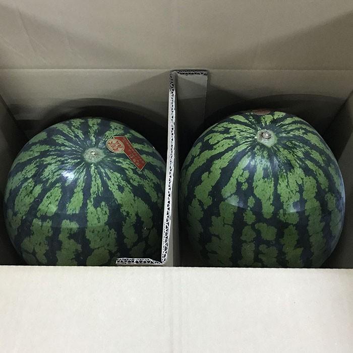 山形県産 尾花沢すいか BまたはC等級 L〜2Lサイズ 2玉入 （箱） ギフト