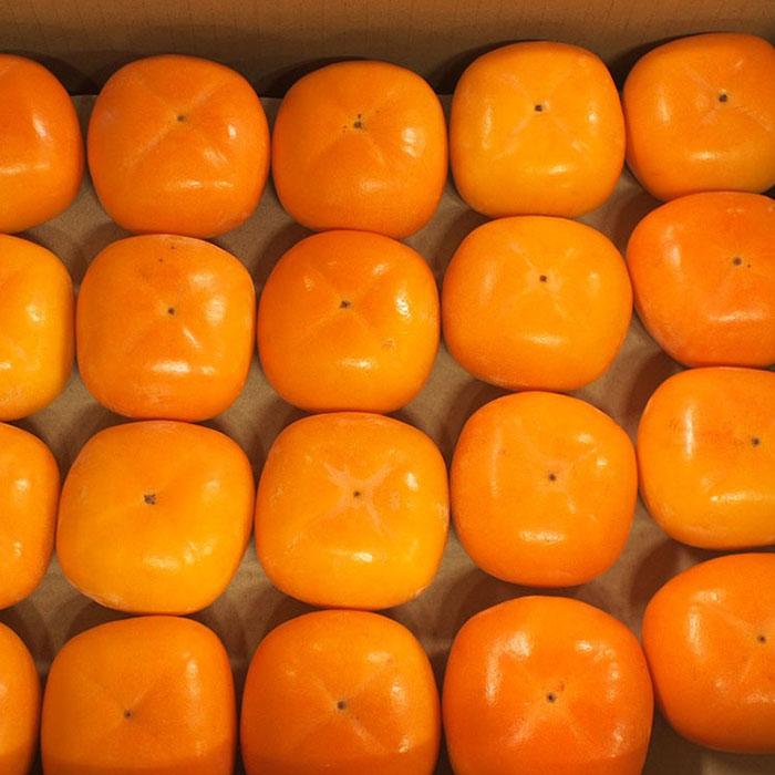 奈良県産 種無し柿 秀品 M〜Lサイズ （36〜40玉） 約7.5kg （箱） 種