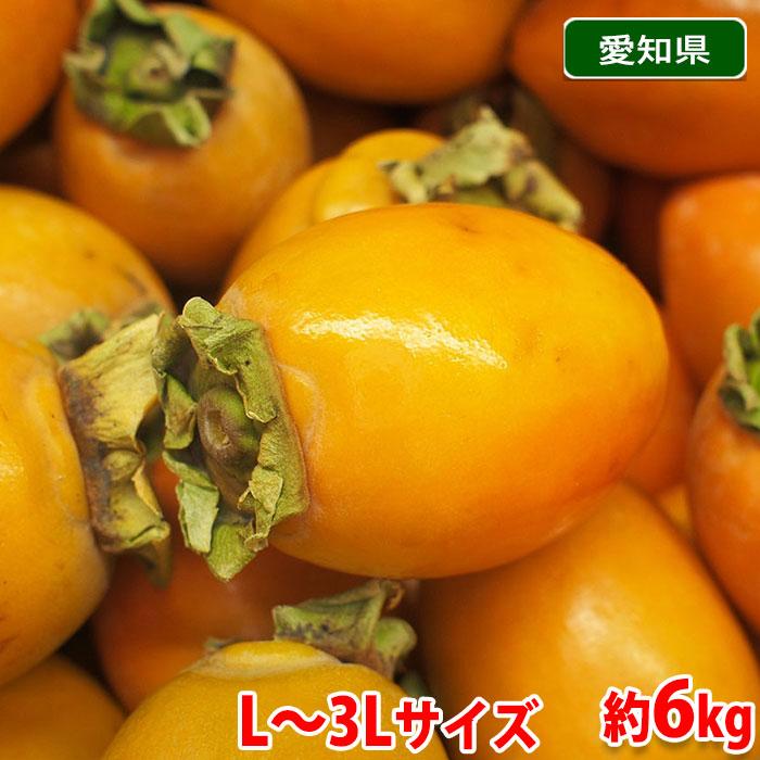 愛知県産 筆柿 （ふでがき） 秀品 L〜3Lサイズ 約6kg （箱） : 生鮮