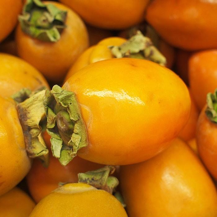 愛知県産 筆柿 （ふでがき） 秀品 L〜3Lサイズ 約6kg （箱） : 生鮮