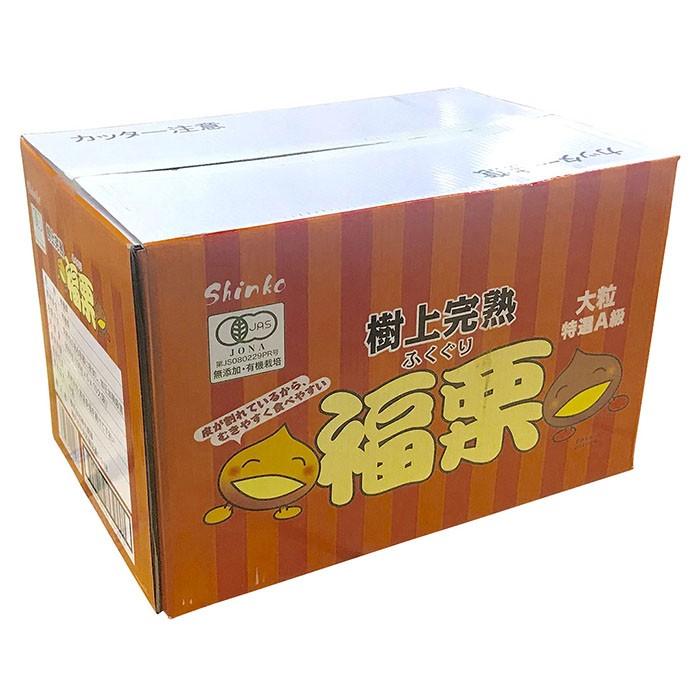 神光商事 樹上完熟 福栗 5袋入り（100g小袋×5入）×10パック（箱）有機