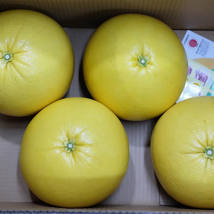 熊本県産 ハウス晩白柚(ばんぺいゆ)L〜3Lサイズ 4〜6玉入り 熊本県産 ハウス晩白柚(ばんぺいゆ)L〜3Lサイズ 4〜6玉入り