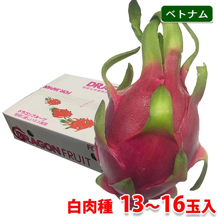 ⑭世界遺産屋久島産もぎたてドラゴンフルーツ(赤白食べ比べセット)　5kg ベトナム産 ドラゴンフルーツ 白肉種 S〜Mサイズ 13玉〜16玉入 5kg