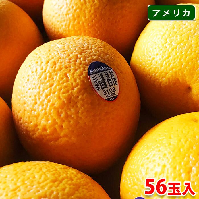 最安値に挑戦 送料無料 アメリカ産 バレンシアオレンジ 56玉 箱 全ての Johnydar Com