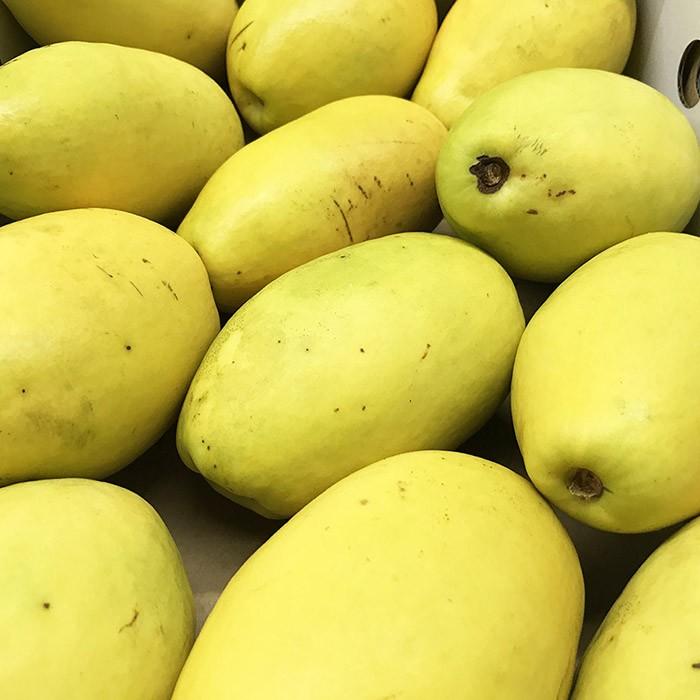 山梨県産 かりん（花梨／カリン） 10〜13玉入り（箱） : 生鮮卸売市場