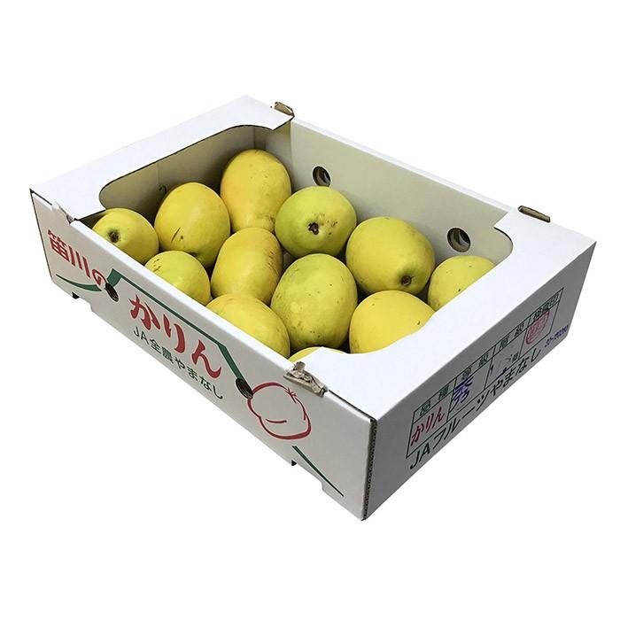 山梨県産 かりん（花梨／カリン） 10〜13玉入り（箱） : 生鮮卸売市場