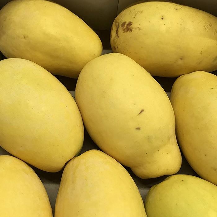 山梨県産 かりん（花梨／カリン） 10〜13玉入り（箱） : 生鮮卸売市場