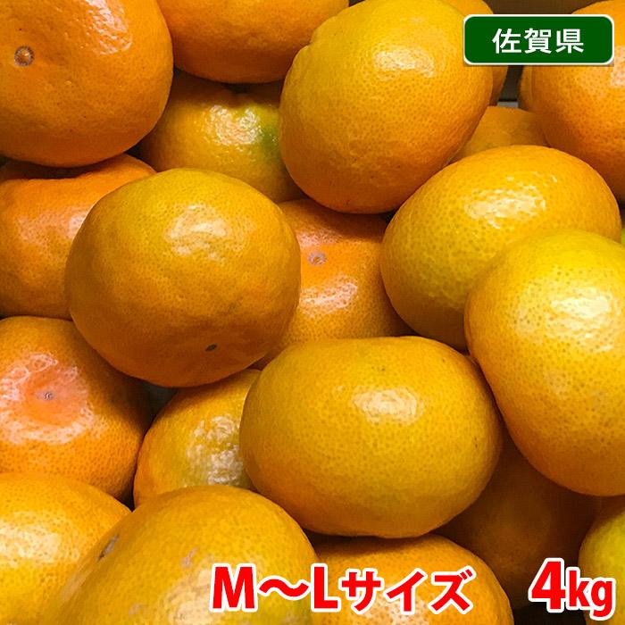 佐賀県産 あんみつみかん （あんみつ姫） 秀品 M〜Lサイズ 4kg（箱