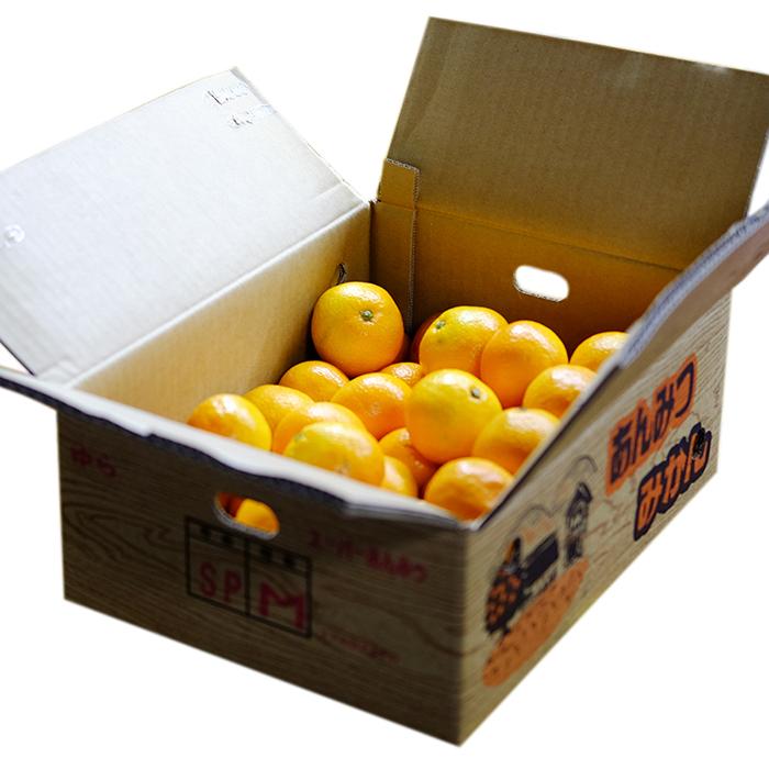 佐賀県産 あんみつみかん （あんみつ姫） 秀品 M〜Lサイズ 4kg（箱