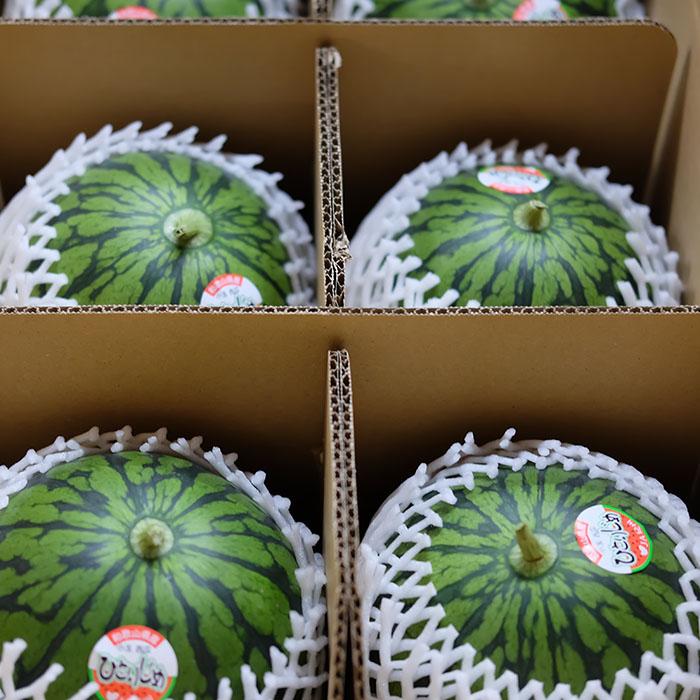 和歌山県産 小玉すいか （こだま西瓜） 秀品 Lサイズ 6玉入り （箱