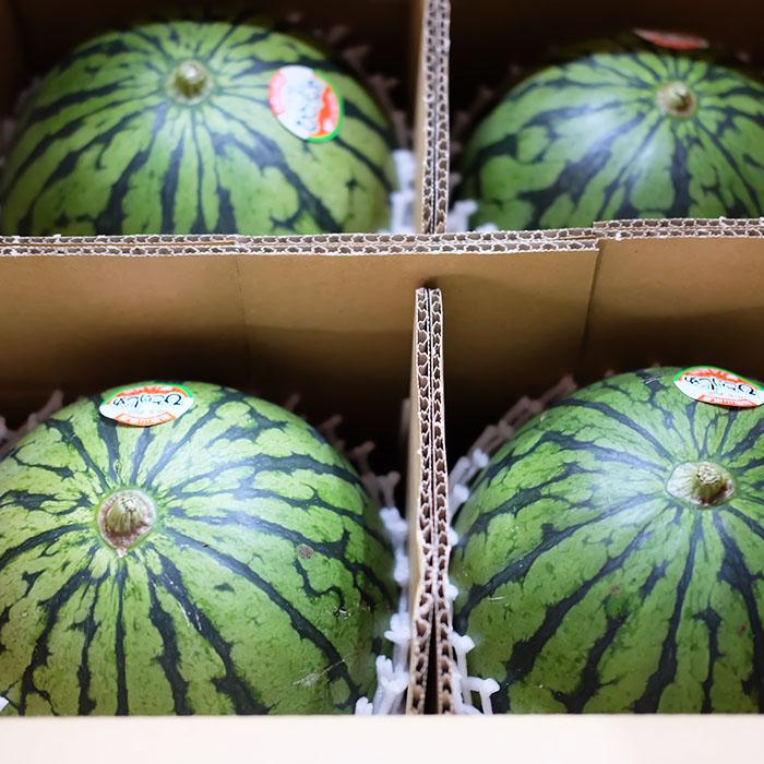 和歌山県産 小玉すいか （こだま西瓜） 秀品 2Lサイズ 4玉入り （箱