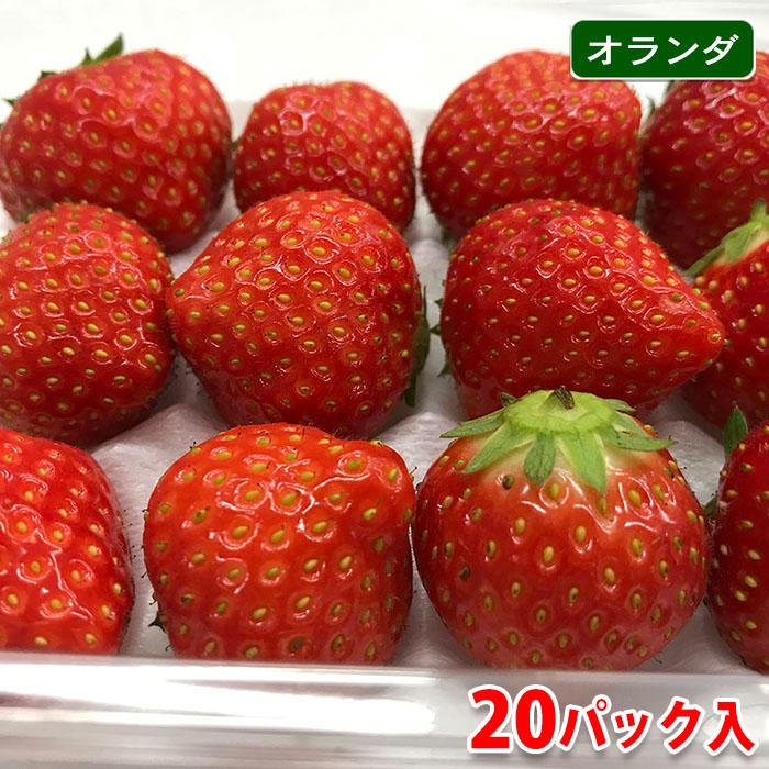 オランダ産 いちご 15粒入×20パック（箱） : 生鮮卸売市場 - 通販
