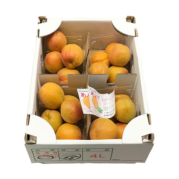 人気ブランドの新作 長野県産 あんず 4パック入り 箱