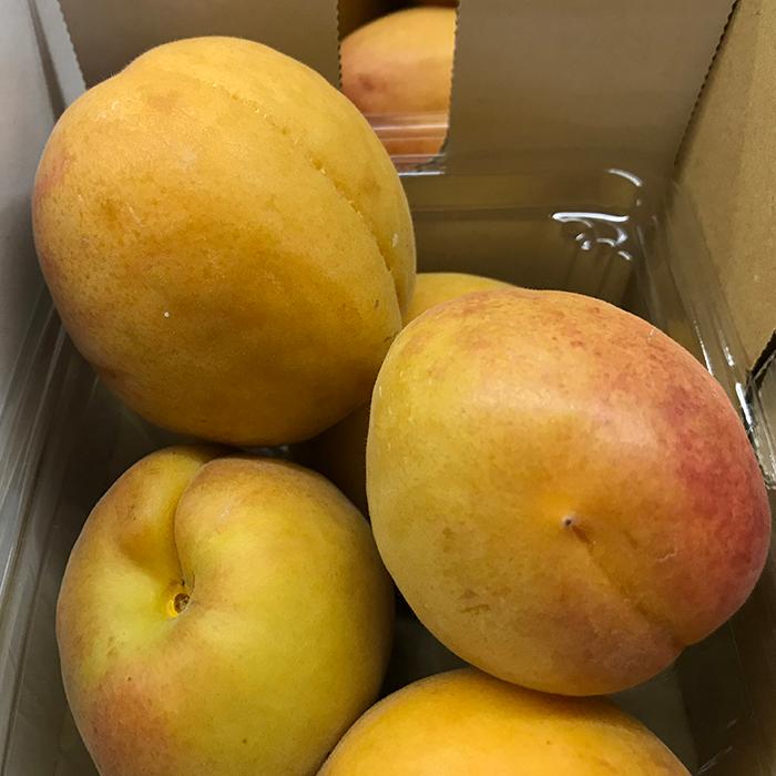長野県産 あんず 秀品 4パック入り （箱） : 生鮮卸売市場 - 通販