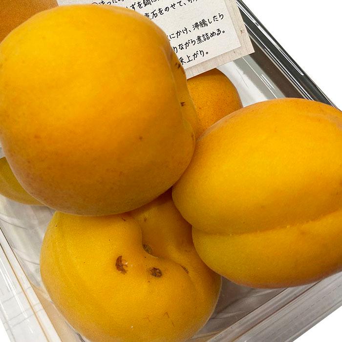 長野県産 あんず 秀品 4パック入り （箱） : 生鮮卸売市場 - 通販
