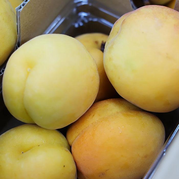 長野県産 あんず 秀品 4パック入り （箱） : 生鮮卸売市場 - 通販