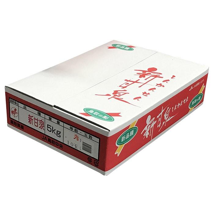 鳥取県産 梨 新甘泉 （しんかんせん） 秀品 5kg 10〜12玉入り （箱）和