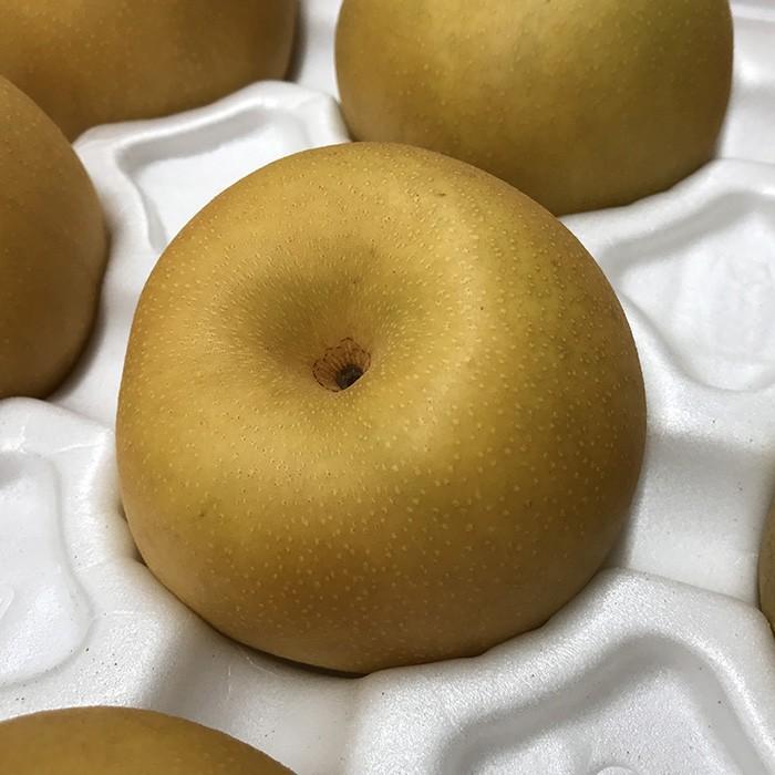 鳥取県産 梨 新甘泉 （しんかんせん） 秀品 5kg 10〜12玉入り （箱）和