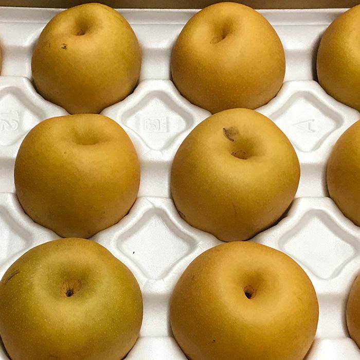 鳥取県産 梨 新甘泉 （しんかんせん） 秀品 5kg 10〜12玉入り （箱）和