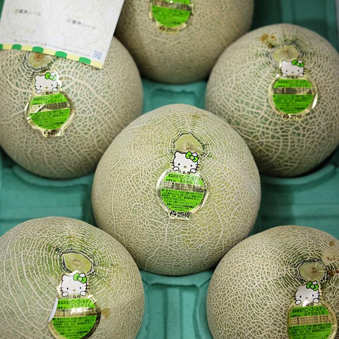 青森県産 メロン ハニーゴールデン 秀品 L〜2Lサイズ 5〜6玉入り
