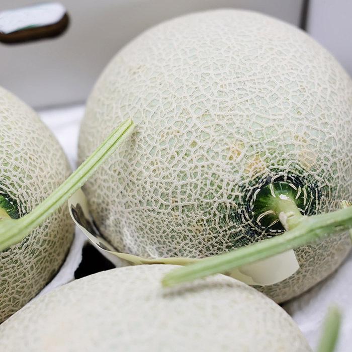 アールスメロン　4L 4玉 島根県産 アールスメロン 秀品 3L〜4Lサイズ 3〜4玉入 (箱) 国産