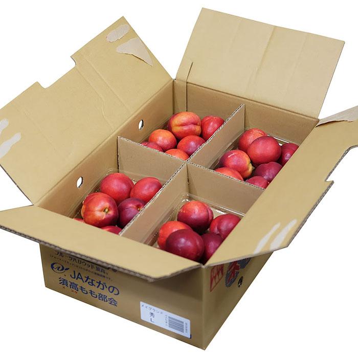 長野県産 ネクタリン 秀品 L〜3Lサイズ 8パック入り （箱） : 生鮮卸売