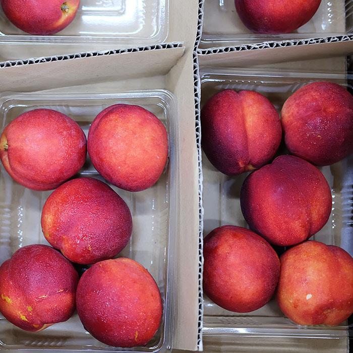 長野県産 ネクタリン 秀品 L〜3Lサイズ 8パック入り （箱） : 生鮮卸売