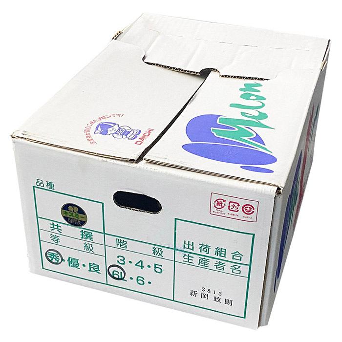 青森県産 メロン レノン 秀品 L〜3Lサイズ 4〜6玉入り （箱） : 生鮮
